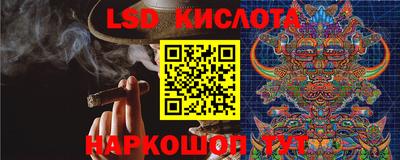 прущие грибы Обь