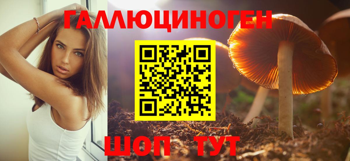 Галлюциногенные грибы Psilocybe  Вход с VPN  Уварово 
